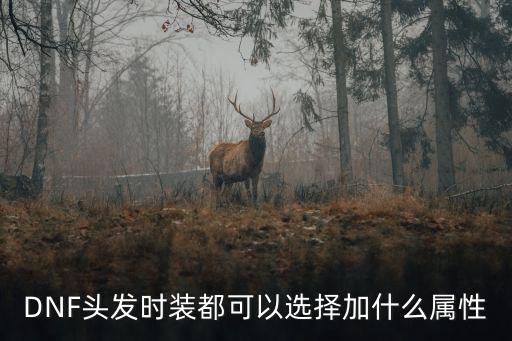 DNF头发时装都可以选择加什么属性
