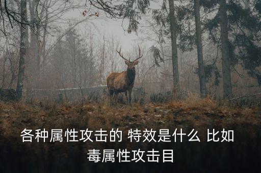 各种属性攻击的 特效是什么 比如 毒属性攻击目