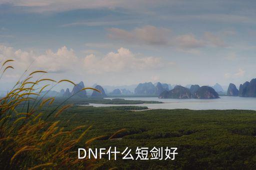 dnf短宗什么属性好，DNF50SS短的详细属性