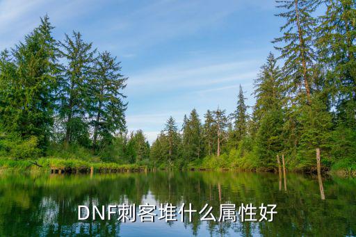 DNF刺客堆什么属性好