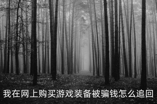购买游戏装备怎么追回损失，我在网上购买游戏装备被骗钱怎么追回