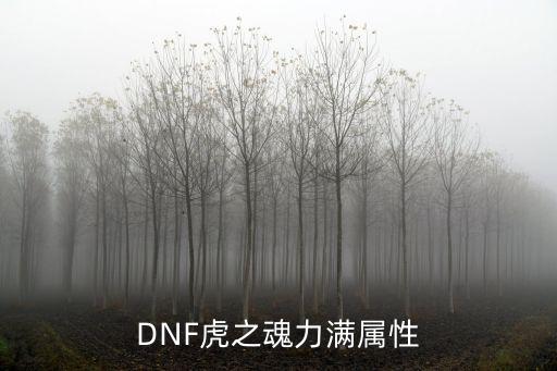 DNF虎之魂力满属性