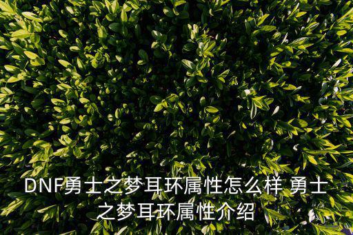 DNF勇士之梦耳环属性怎么样 勇士之梦耳环属性介绍