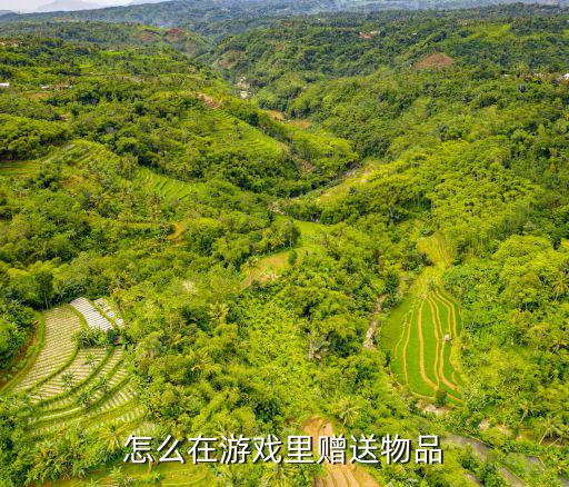 孙悟空怎么买游戏装备送人，怎么赠送装备