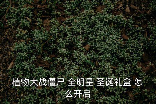 植物大战僵尸 全明星 圣诞礼盒 怎么开启