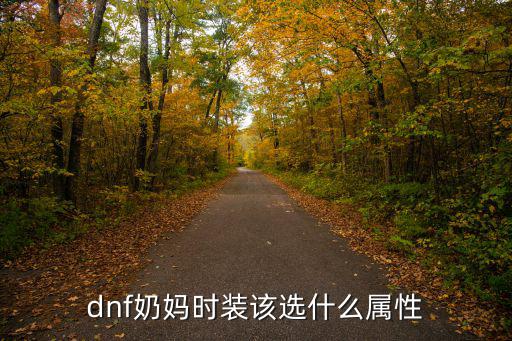 dnf奶妈应该叠什么属性，奶妈用加什么属性的魂玉比较好
