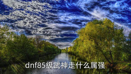 dnf85级武神走什么属强