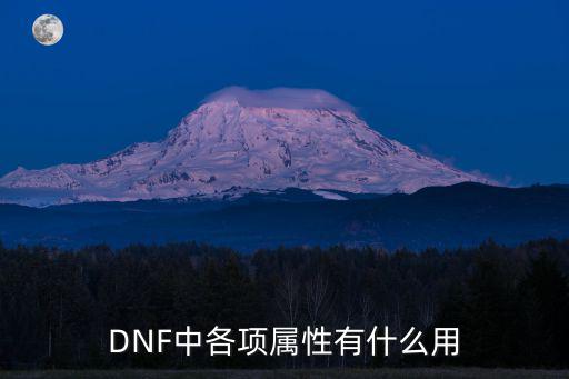 dnf战场王牌用什么属性，DNF中各项属性有什么用