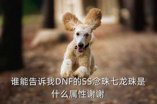 谁能告诉我DNF的SS念珠七龙珠是什么属性谢谢