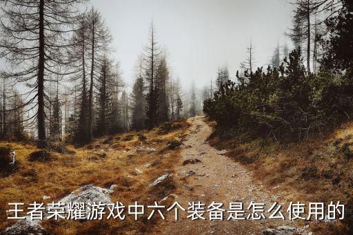 王者荣耀游戏中六个装备是怎么使用的