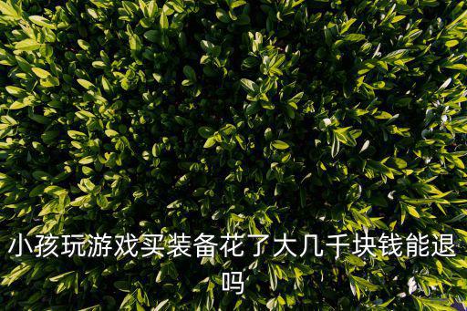 小孩玩游戏买装备花了大几千块钱能退吗