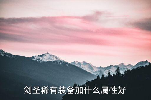 剑圣稀有装备加什么属性好