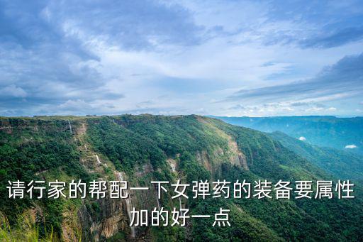 请行家的帮配一下女弹药的装备要属性加的好一点