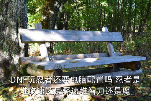 DNF玩忍者还要电脑配置吗 忍者是堆攻速还是释速堆智力还是魔