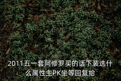 2011五一套阿修罗买的话下装选什么属性主PK坐等回复给