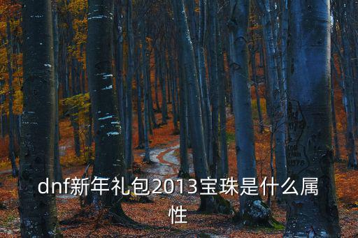 dnf新年礼包2013宝珠是什么属性