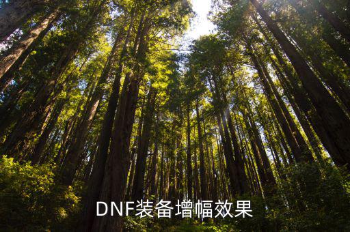 dnf花花武器增幅什么属性，DNF装备增幅效果