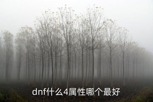 dnf四属性有什么不同，dnf什么4属性哪个最好