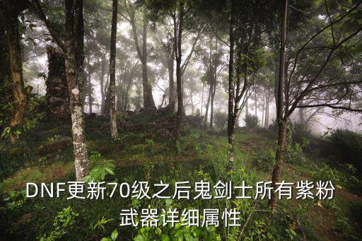 DNF更新70级之后鬼剑士所有紫粉武器详细属性