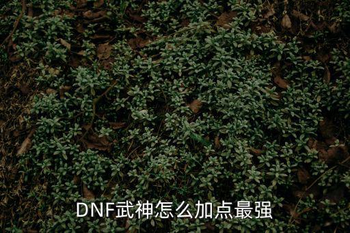 DNF武神怎么加点最强