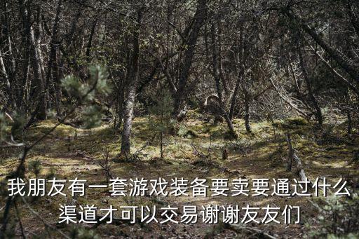 我朋友有一套游戏装备要卖要通过什么渠道才可以交易谢谢友友们