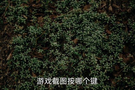 游戏截图按哪个键
