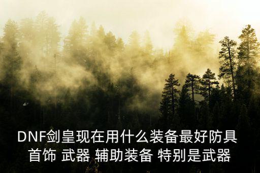 DNF剑皇现在用什么装备最好防具 首饰 武器 辅助装备 特别是武器