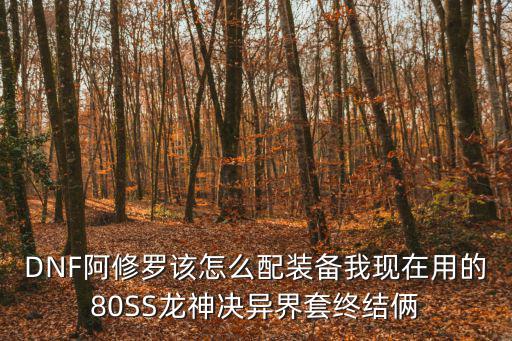 DNF阿修罗该怎么配装备我现在用的80SS龙神决异界套终结俩