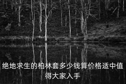 绝地求生的柏林套多少钱算价格适中值得大家入手
