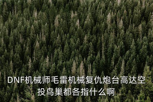 DNF机械师毛雷机械复仇炮台高达空投鸟巢都各指什么啊