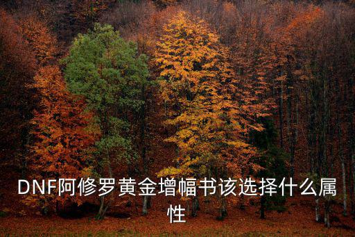 DNF阿修罗黄金增幅书该选择什么属性