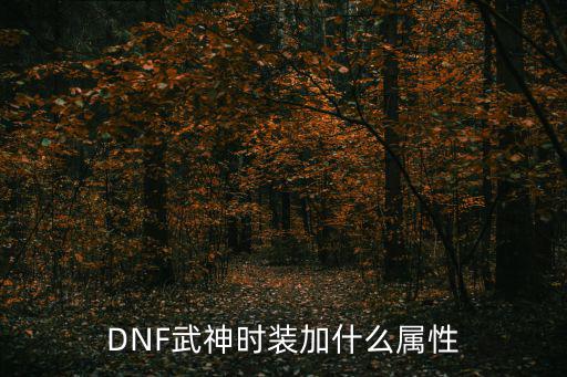 DNF武神时装加什么属性