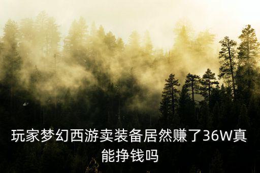 玩家梦幻西游卖装备居然赚了36W真能挣钱吗