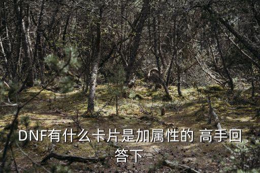 DNF有什么卡片是加属性的 高手回答下