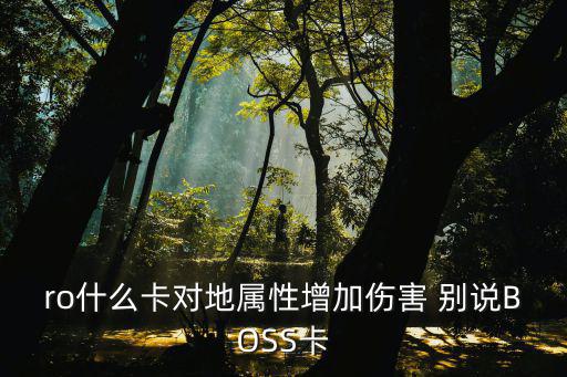 ro什么卡对地属性增加伤害 别说BOSS卡