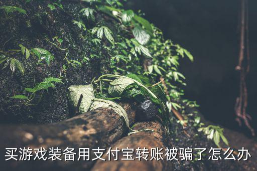 买游戏装备用支付宝转账被骗了怎么办