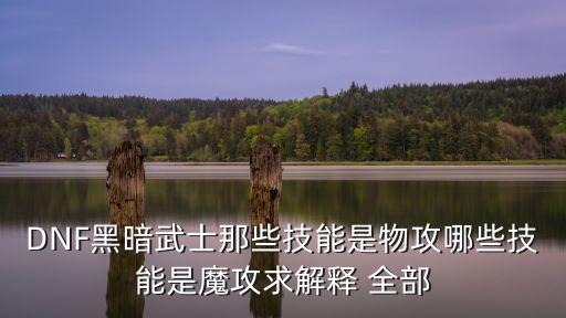 DNF黑暗武士那些技能是物攻哪些技能是魔攻求解释 全部