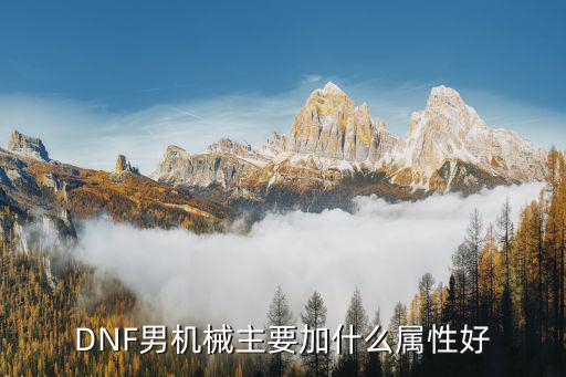 dnf男机械选什么属性，dnf男机械时装属性选择