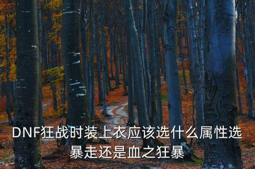 DNF狂战时装上衣应该选什么属性选暴走还是血之狂暴