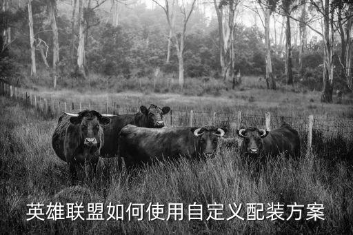 英雄联盟如何使用自定义配装方案