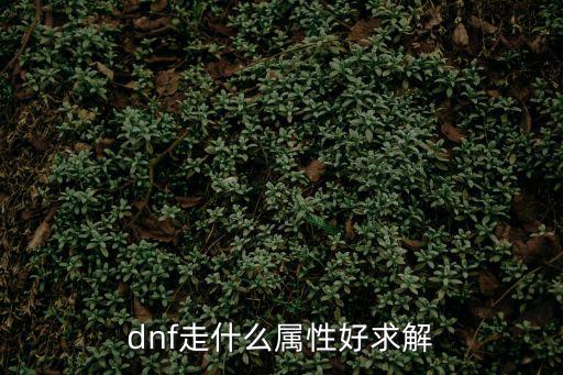 dnf 90用什么属性好，DNF 下个版本 走什么属性好