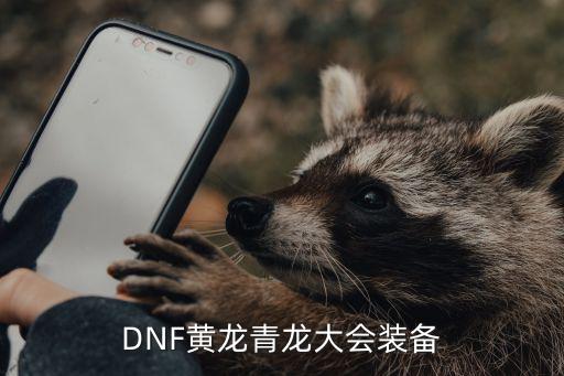 dnf青龙项链属性是什么，DNF黄龙青龙大会装备