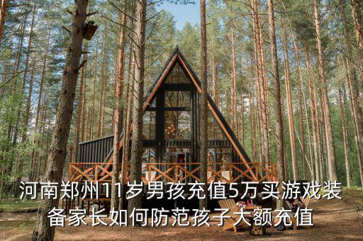 河南郑州11岁男孩充值5万买游戏装备家长如何防范孩子大额充值