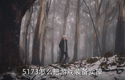 5173怎么把游戏装备卖掉