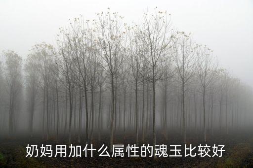奶妈用加什么属性的魂玉比较好