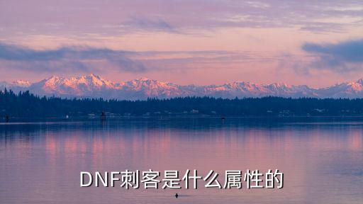 DNF刺客是什么属性的