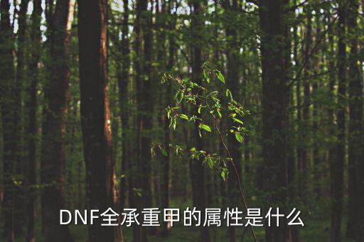 DNF全承重甲的属性是什么