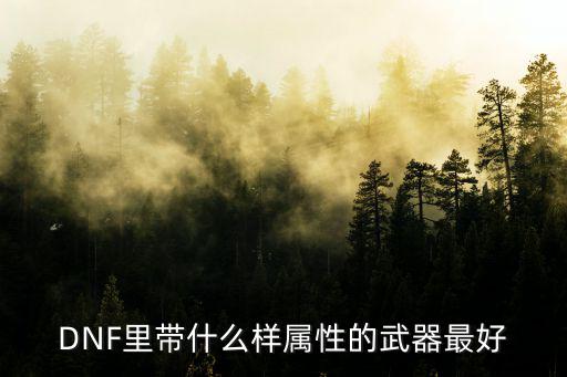 DNF里带什么样属性的武器最好