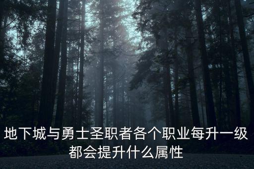 dnf圣骑士升级什么属性，圣骑士要加什么属性啊