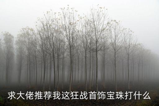 求大佬推荐我这狂战首饰宝珠打什么